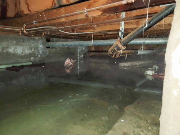  East Lexington, VA Water damage restoration Pros