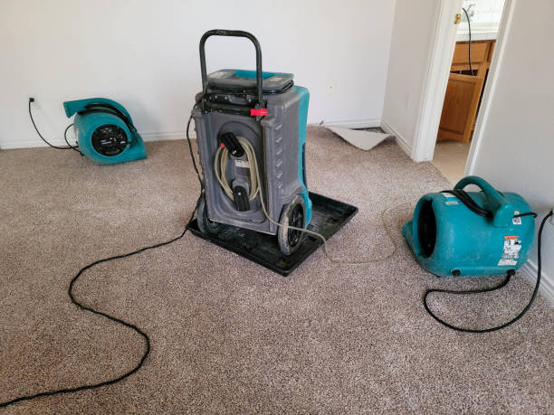Best Water damage cleanup near me  in East Lexington, VA