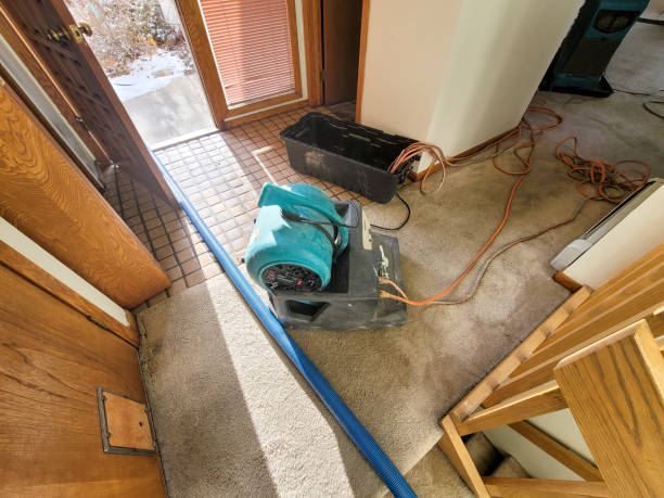 Best Water damage contractors near me  in East Lexington, VA