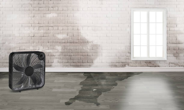 Best Water damage restoration near me  in East Lexington, VA