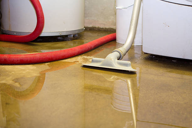 Best Water damage cleanup near me  in East Lexington, VA