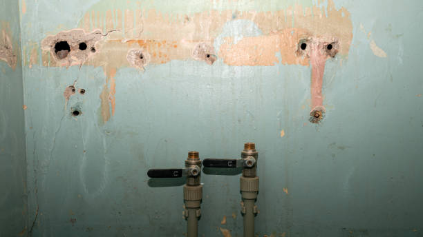 Best Water damage restoration cost  in East Lexington, VA