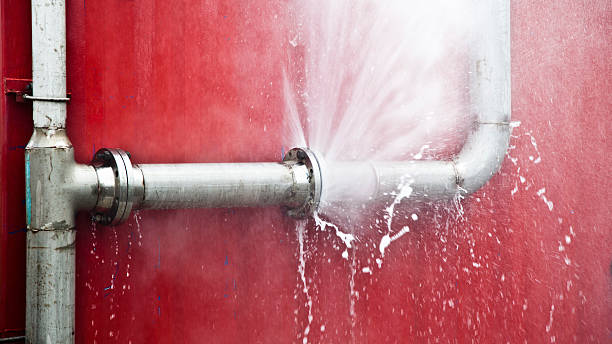 Best Mold removal after water damage  in East Lexington, VA